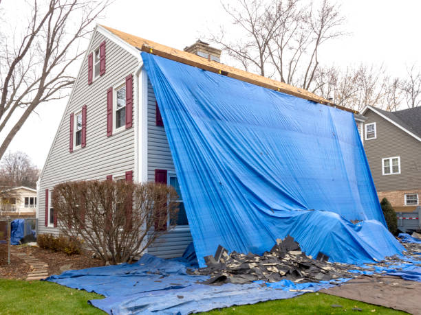 Shed Removal in Santa Rosa, TX